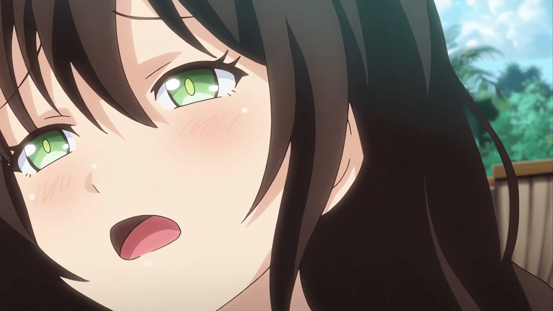 Harem-tou e Youkoso!